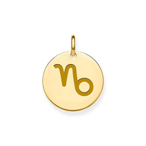 9ct Yellow Gold Zodiac Pendant
