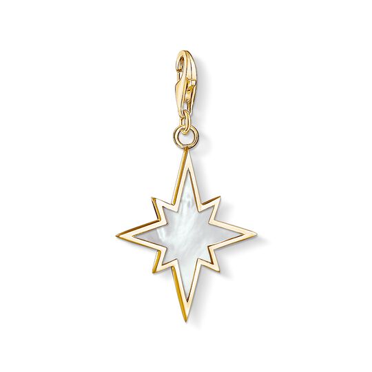 Thomas Sabo Sterling Silver gold plated Mother of Pearl Star charm re1539-429-14 f