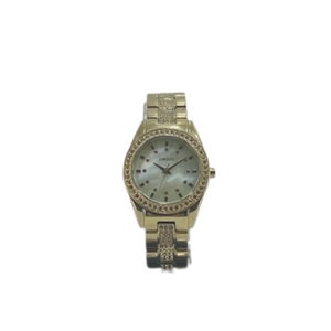 NY8398 DKNY Gold Stainless steel Bracelet Watch