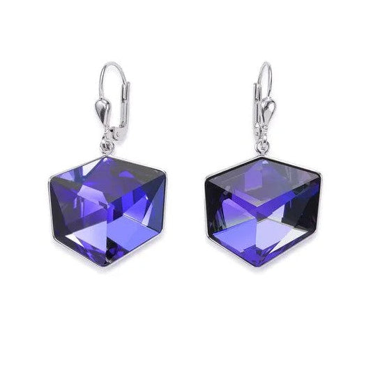 Coeur de Lion Stainless Steel Crystal set drop earrings 4889/20-0800