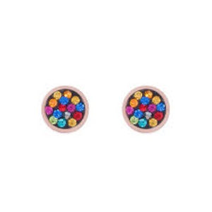 0218/21-1500 Coeur de Lion stainless steel multi coloured stone set stud earrings