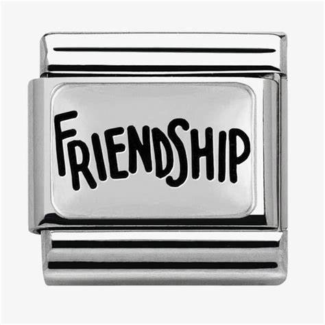 330102/40 Nomination Silver shine Friendship charm